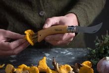 Load image into Gallery viewer, No8 Opinel Stainless MUSHROOM Foraging Folding Knife (Locking Ring)