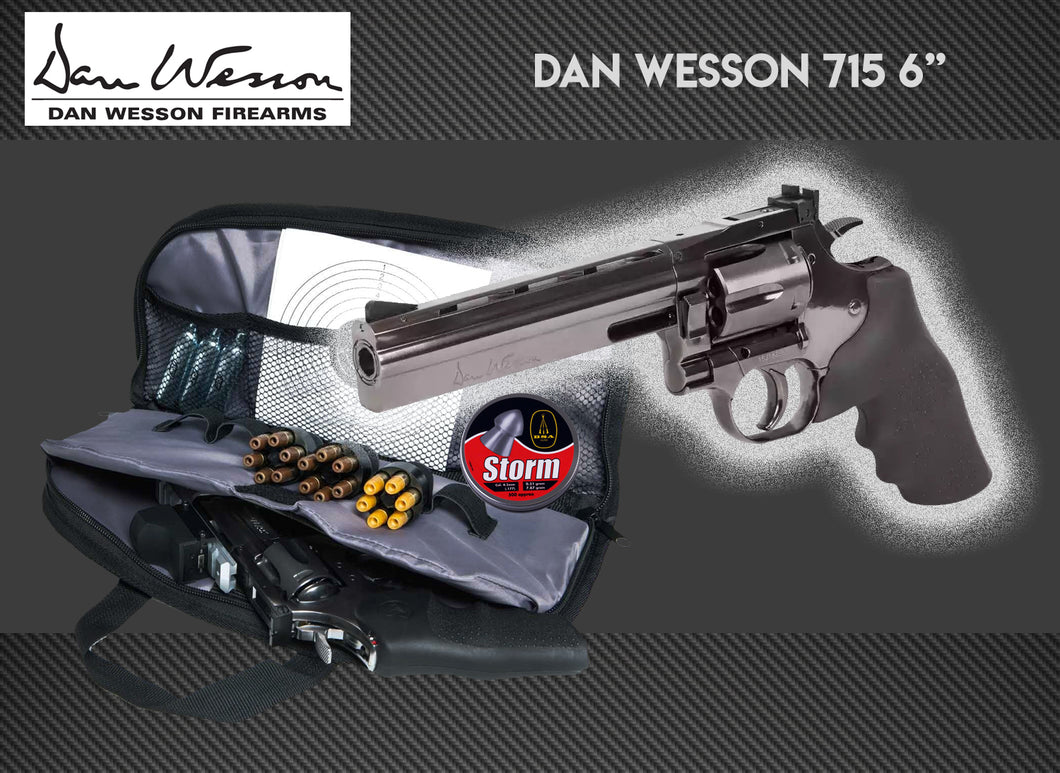 ASG Dan Wesson Steel Grey 6