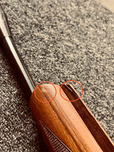 Load image into Gallery viewer, Pre-owned Theoben Evolution Thumbhole .177 TB19038
