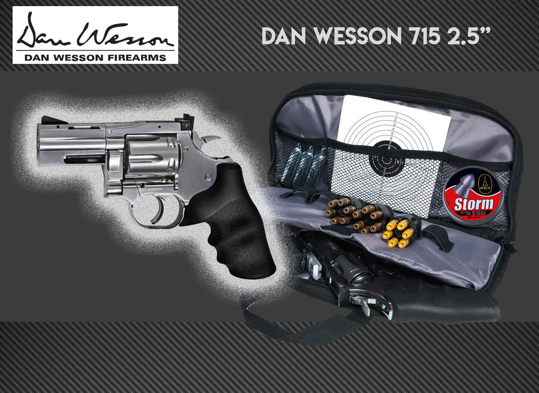 ASG Dan Wesson Silver 2.5